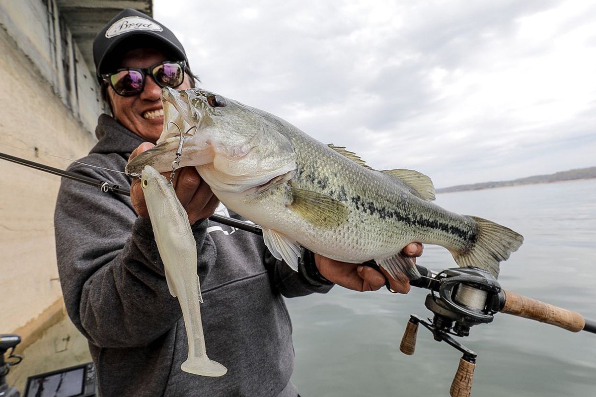 megabass_jp's tweet photo. スイムベイトの世界を変えた、マグドラ。
MAGDRAFT
https://t.co/xDqnG5p180
マグドラフトはスロー、ファストどちらでも安定したリトリーブが可能。
マグホールド搭載でスムーズでナチュラルなアクションを生み出します。
@kentakimura5727 @luremagazine_jp
#megabass #yukiito #magdraft https://t.co/9qasEEf68S