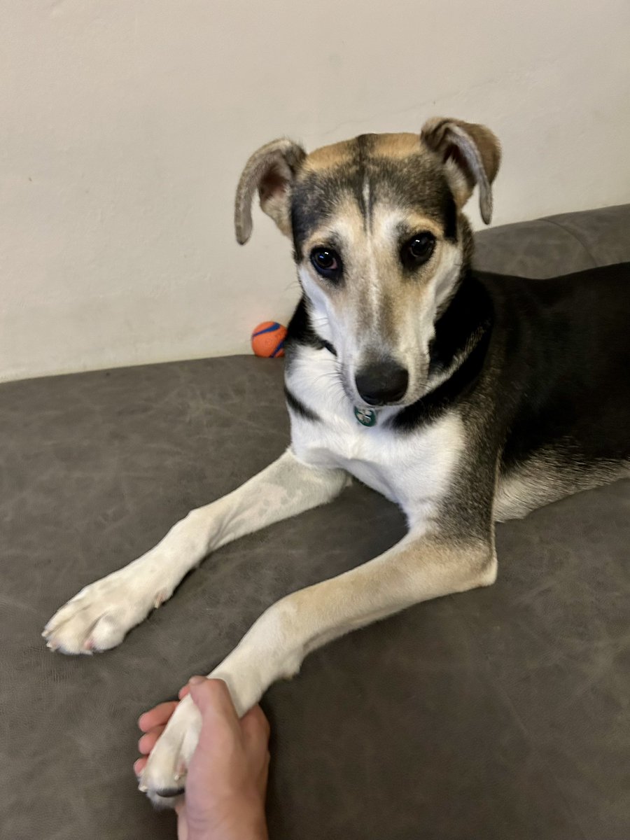 Alex Sax tweet media