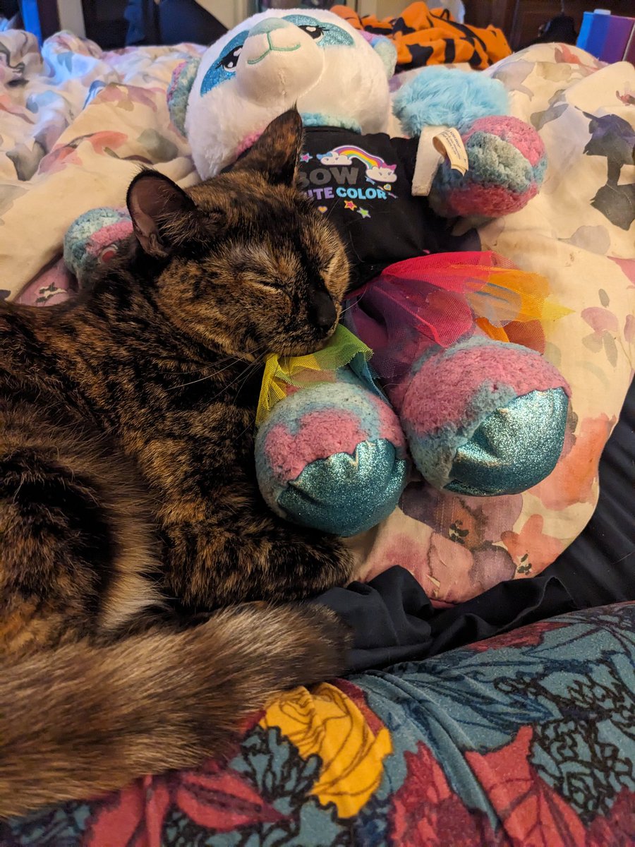 PrincessOGaming's tweet photo. Well this was my stuffed animal 🌈🧸 https://t.co/PvtQgp3SNy