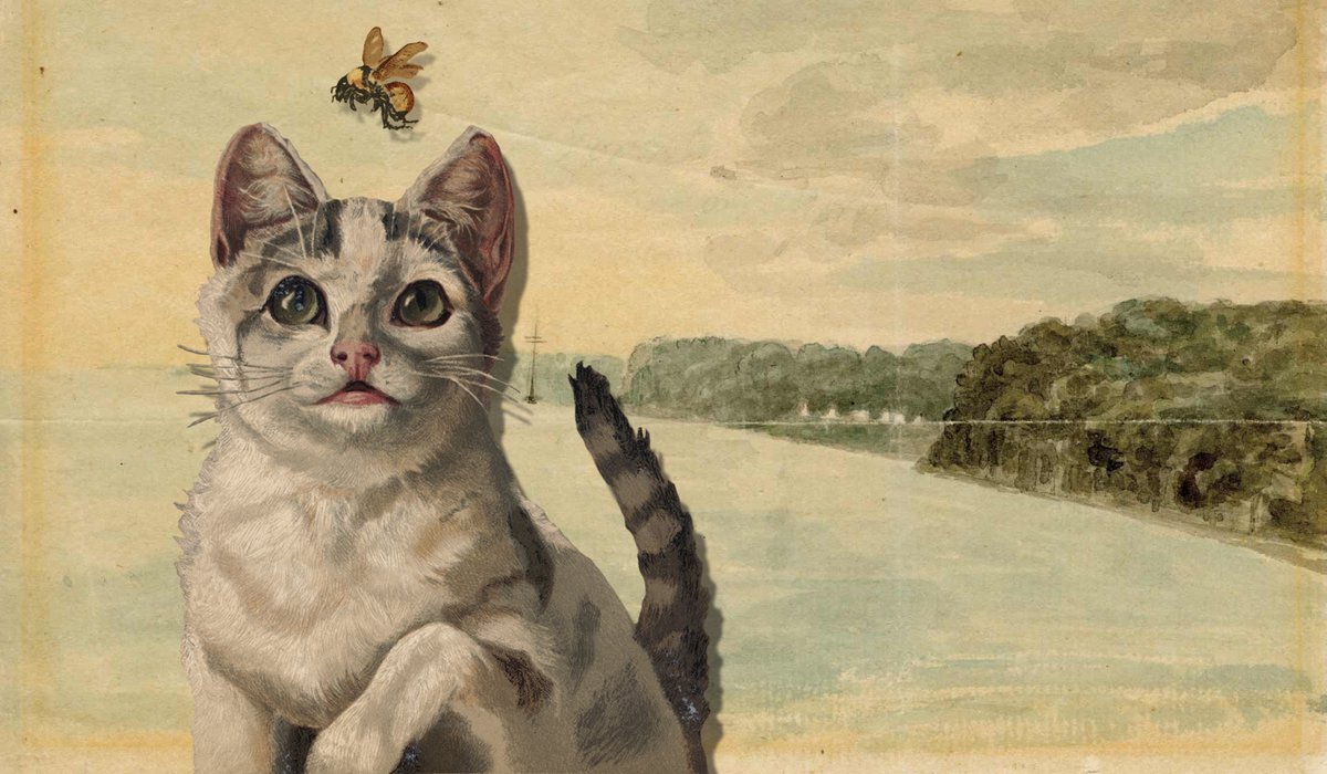 Adam Bunch tweet media