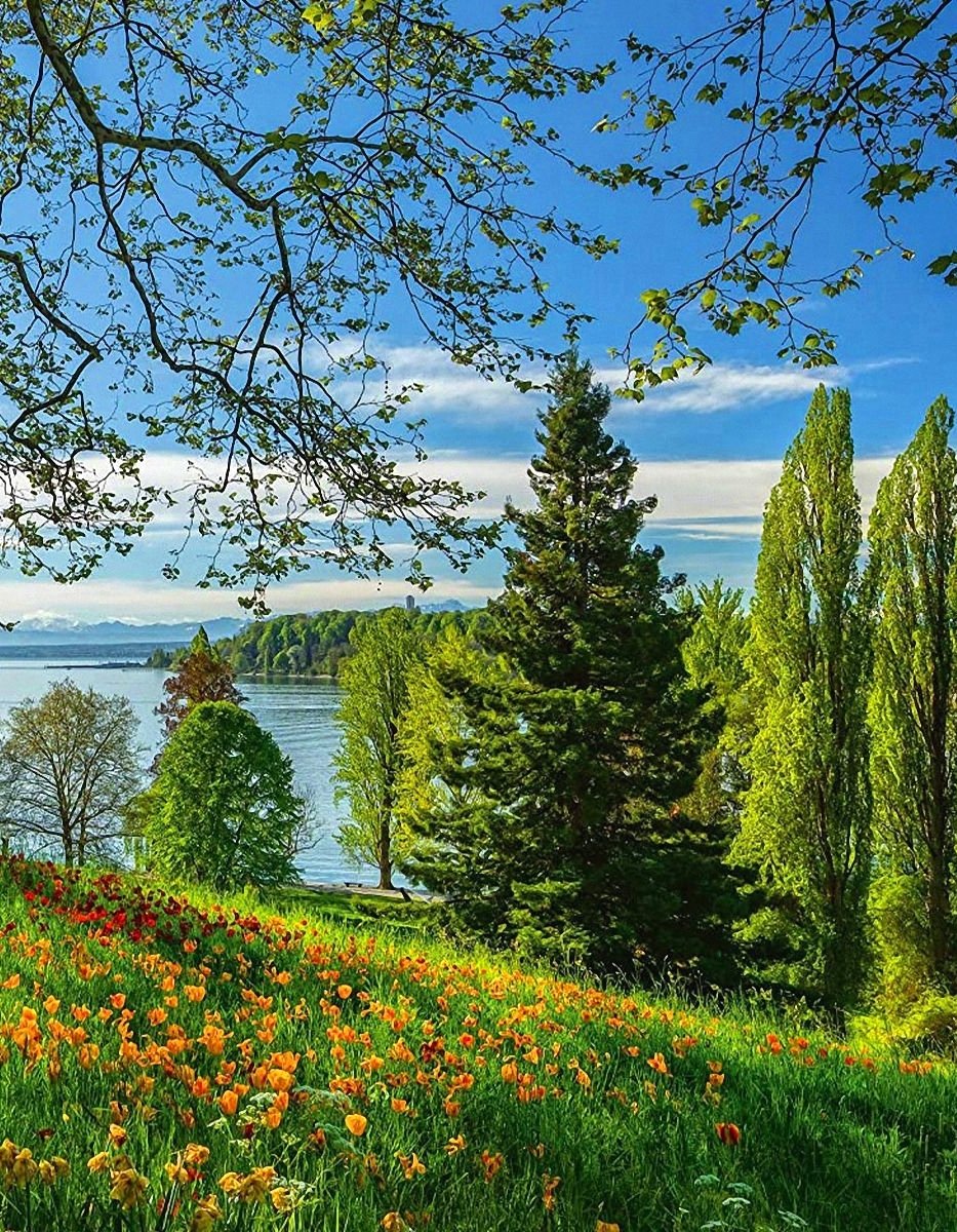 Blooming spring at Lake Constance in Germany  🇩🇪 

#nature #naturephotography #naturebeauty #scenic #photography 

Wikipedia: en.wikipedia.org/wiki/Lake_Cons…