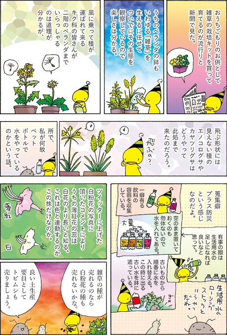 午前中断水なので、この方式で備蓄してある大量の水が役に立つぜ。 (1/1) 