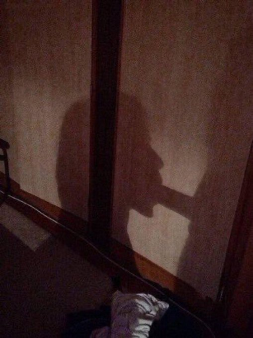 Sexual Mood (@sexualmoodx) on Twitter photo 