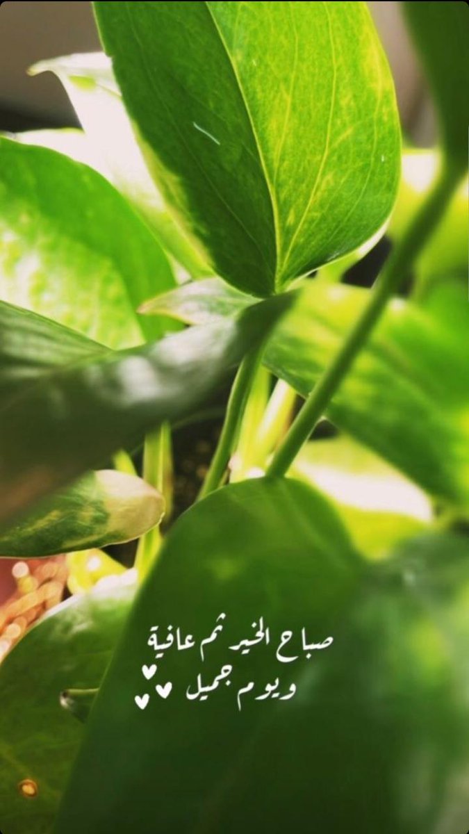 ‏❥‏مـﮯـﯾرةღالأًّمـﮯـﯾرة❥ (@_mji4) on Twitter photo 