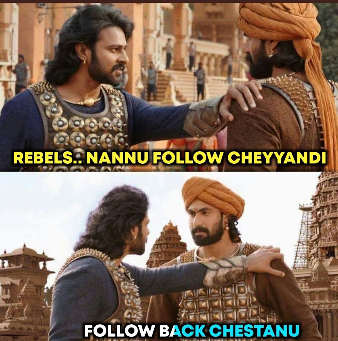 Rebels Nannu follow cheyandi
 Follow back chaistha