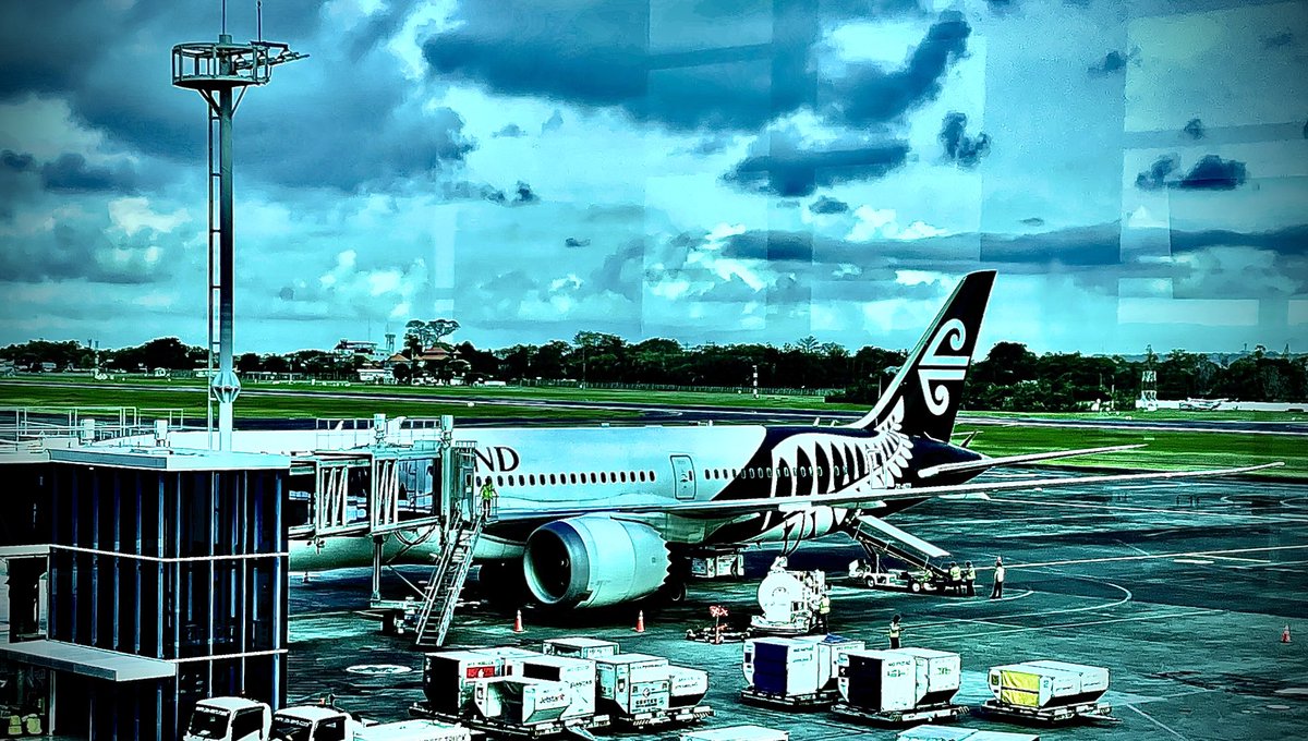 asuchowersky's tweet photo. Leaving beautiful Bali on this beautiful bird home ⁦@FlyAirNZ⁩ https://t.co/Qam2YKWlUc