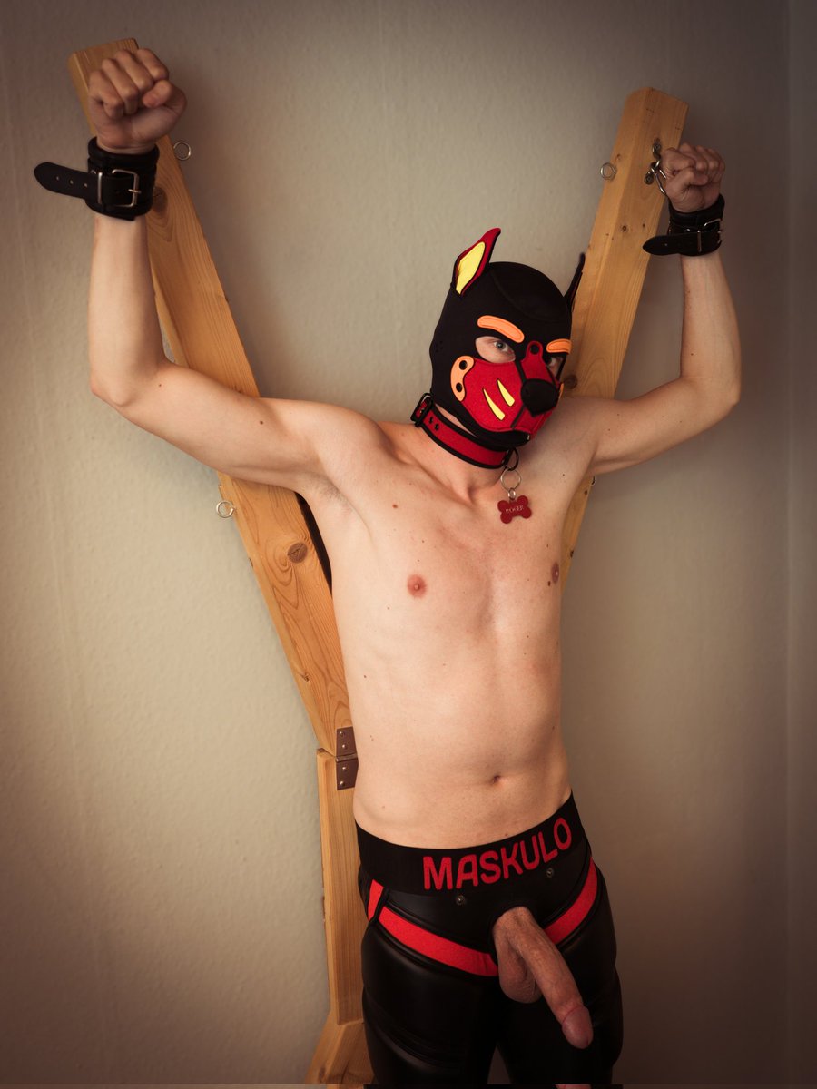 Pup Roger 🔜 XGear 🇩🇪 Herten tweet media