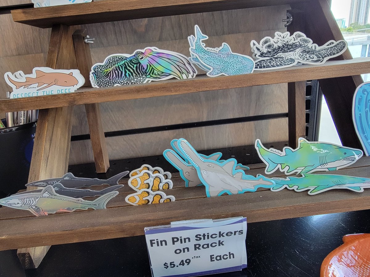 Havenworth Coastal Conservation tweet media