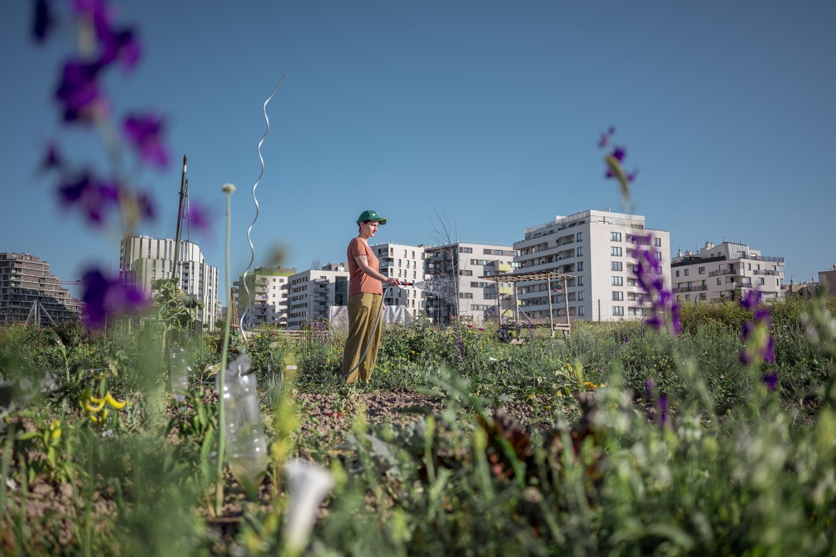 Zwischenstand: Sommer in der Seestadt ❤️