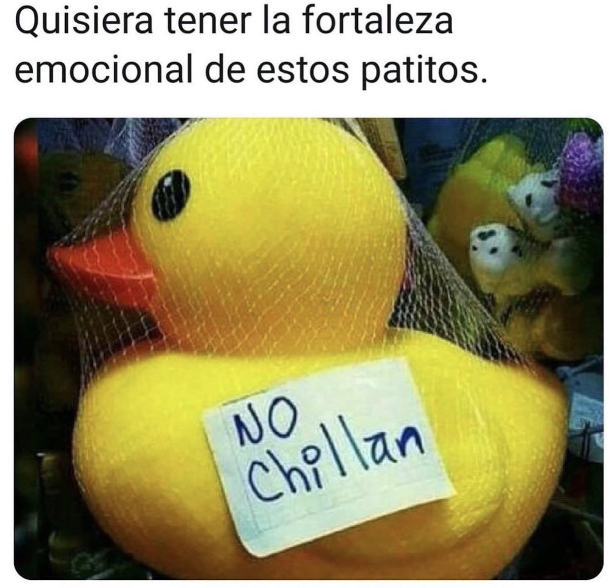 memesenlosgenes's tweet photo. https://t.co/JjgmGo3yh4