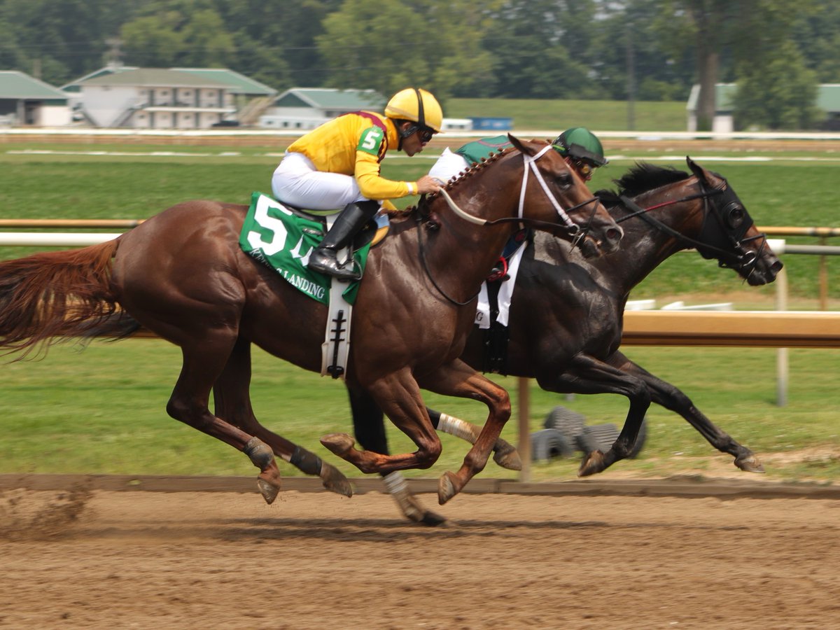 Gary_McIntyre56's tweet image. Opening Day For The @EllisParkRacing Summer Meet Begins Friday July 7th...First Race Post time is 11:45 CDT
Free General Admission... Reserved Outdoor Box Seats or Inside the Air Conditioning In the Clubhouse. Go to Ellisparkracing.com for Reserved Tickets #BANGO