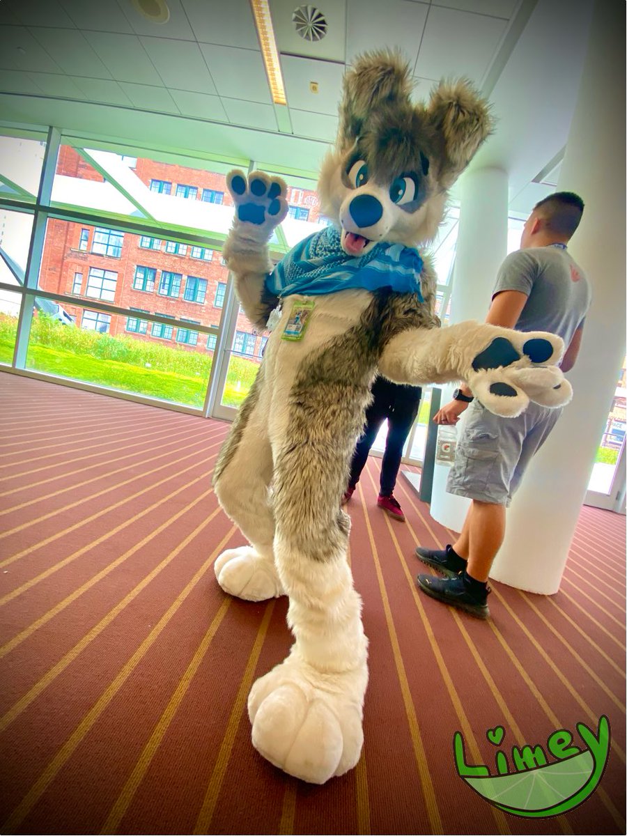 Sweet pic of <a href="/colliebutt/">Colin Collie</a> here, thank you! 💚💚