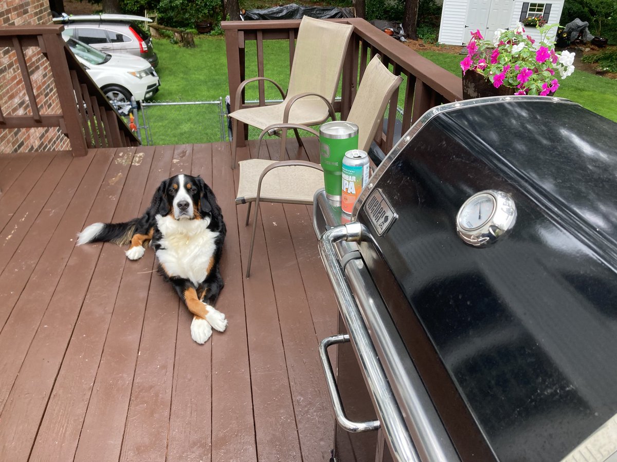 Boomer always knows when we’re grilling!! #dogsofturf