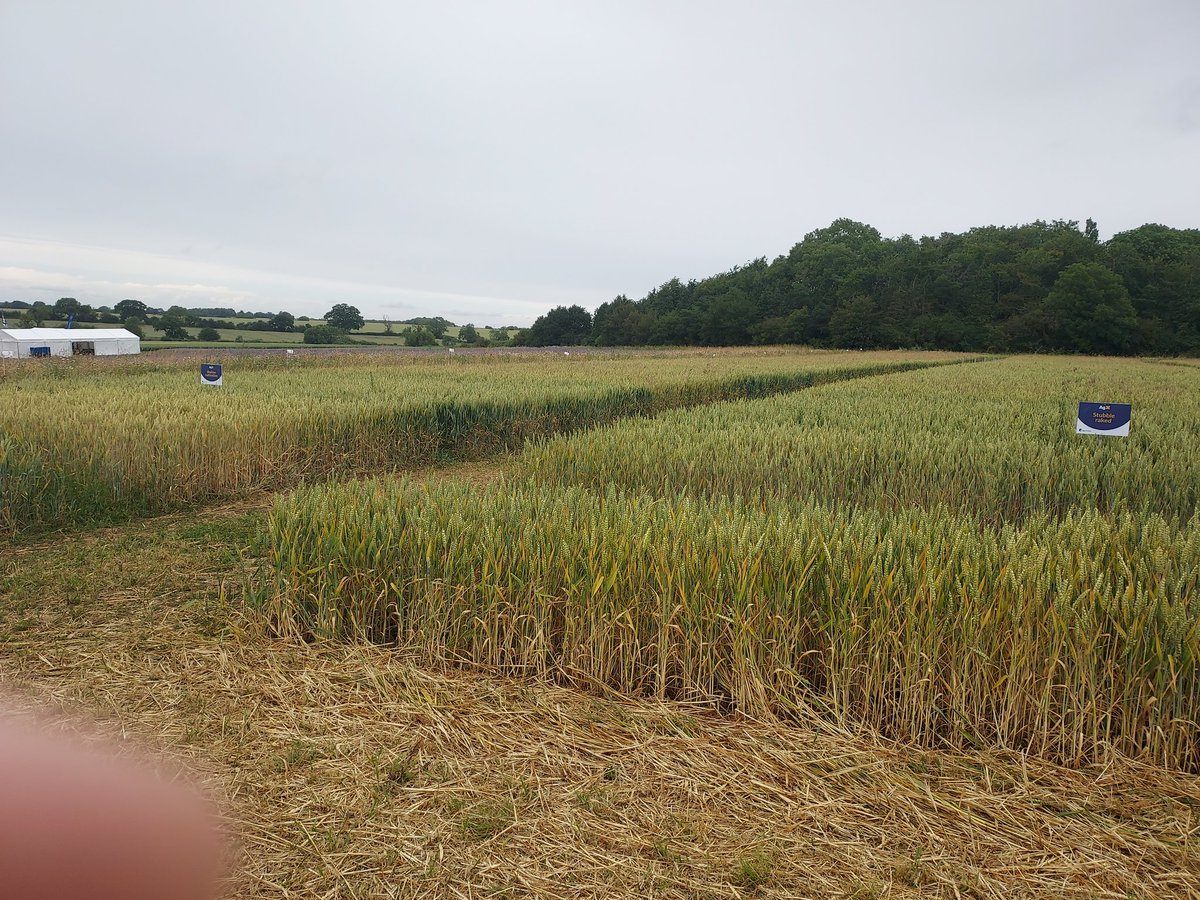 Philip Atkins OBE tweet media