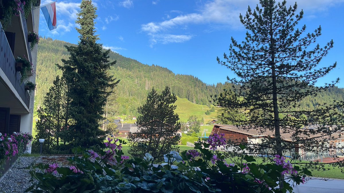 RitaSattler's tweet photo. Work hard - play hard. #ALSGRC in les Diablerets! Discussing ALS research and enjoying the Swiss mountains 🏔️ https://t.co/AL5PImSF6a