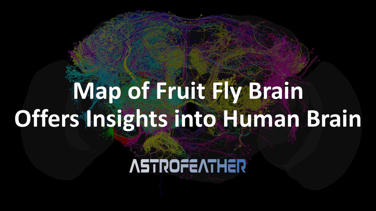 AstroFeatherAI's tweet photo. Another exciting day in AI

- Whole-brain connectome of the fruit fly
- AI translates 5,000 year old ancient language
- AI system improves recycling
- Fruit-picking AI drones
- Open letter criticizes EU AI Act

Subscribe for more: https://t.co/EdRzabL0n8

Thread below🧵 https://t.co/Ab1ZBt8gUI