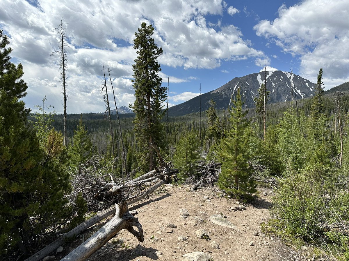 mtnbkmomma's tweet photo. The view this morning on my hike along the Gore Trail. https://t.co/U6N4LrVNpZ