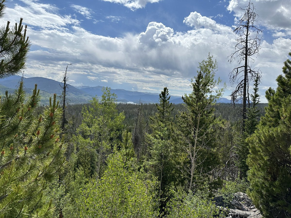 mtnbkmomma's tweet photo. The view this morning on my hike along the Gore Trail. https://t.co/U6N4LrVNpZ