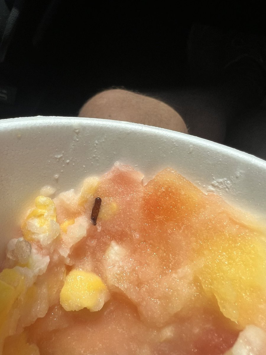 ShayNizzy's tweet photo. @bahamabucks  hey Bahama Bucks found what looks like a piece of a worm in my drink today?!? What’s going on here https://t.co/dr16F5Sf5K