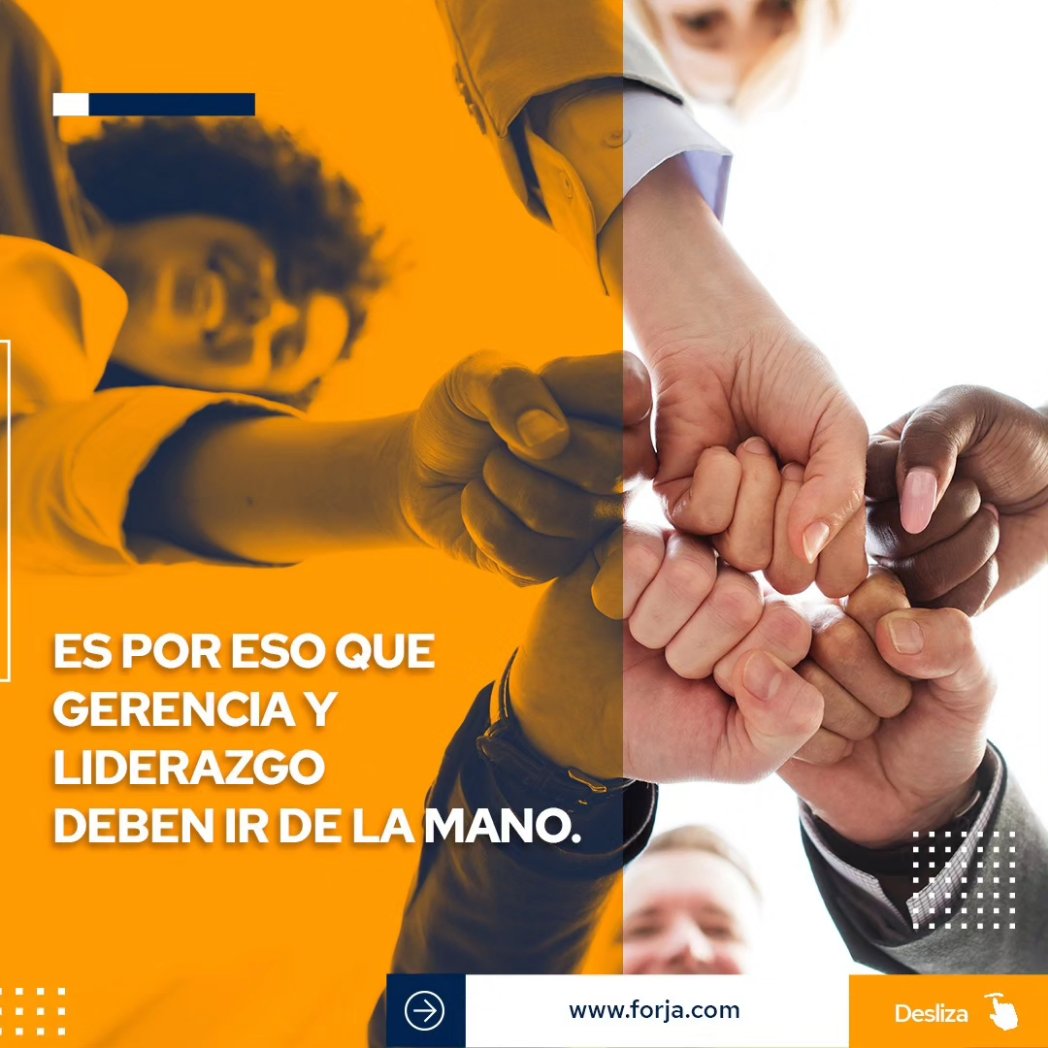FORJAte_LIDER's tweet photo. El principal deber de un gerente es asegurar la continuidad del negocio.

Eso significa que debe garantizar la rentabilidad y el retorno de la inversión obteniendo el máximo de los resultados.

Para alcanzarlo,  debe combinar de manera inteligente el liderazgo en la gerencia. https://t.co/bi6fv5KSLh