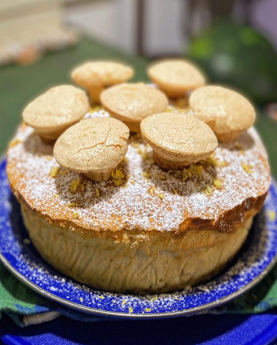 Calling this Rhizome Cake, it’s sweet, not savory. A Japanese fluffy cake, made with my own cultured vanilla yogurt instead of cream cheese. Like a firm custard cake. The mushrooms are an accident of my meringue that didn’t work out. But they did. Pleased with it 🍄