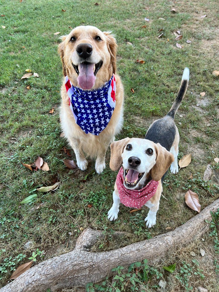 Happy 4th of July! 🇺🇸