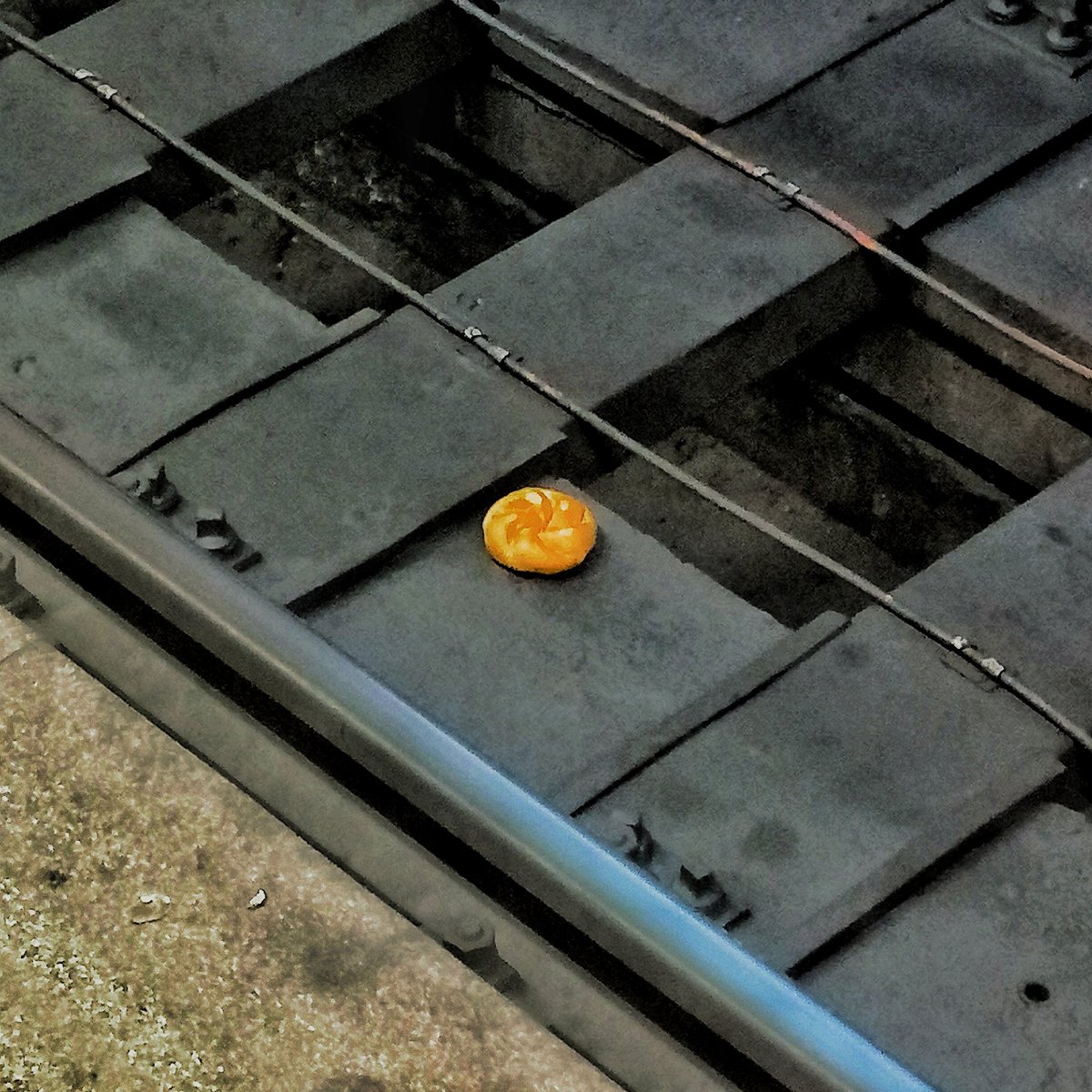 ArtemisClimbing's tweet photo. Feeling like the subway rail bagel https://t.co/kx9MQa2qX4
