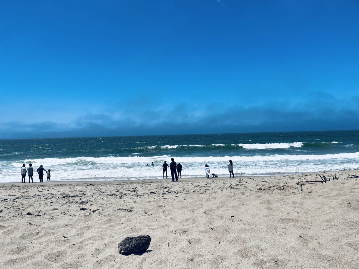 ShadeDancer tweet media