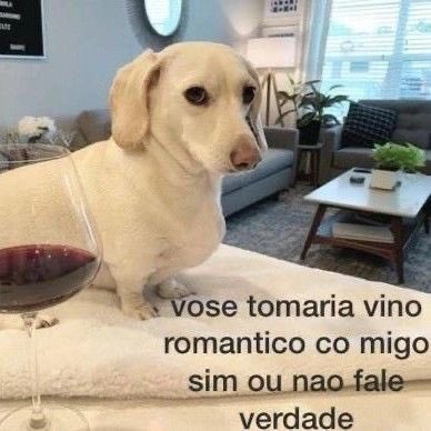 gustmadu's tweet image. vose tomaria