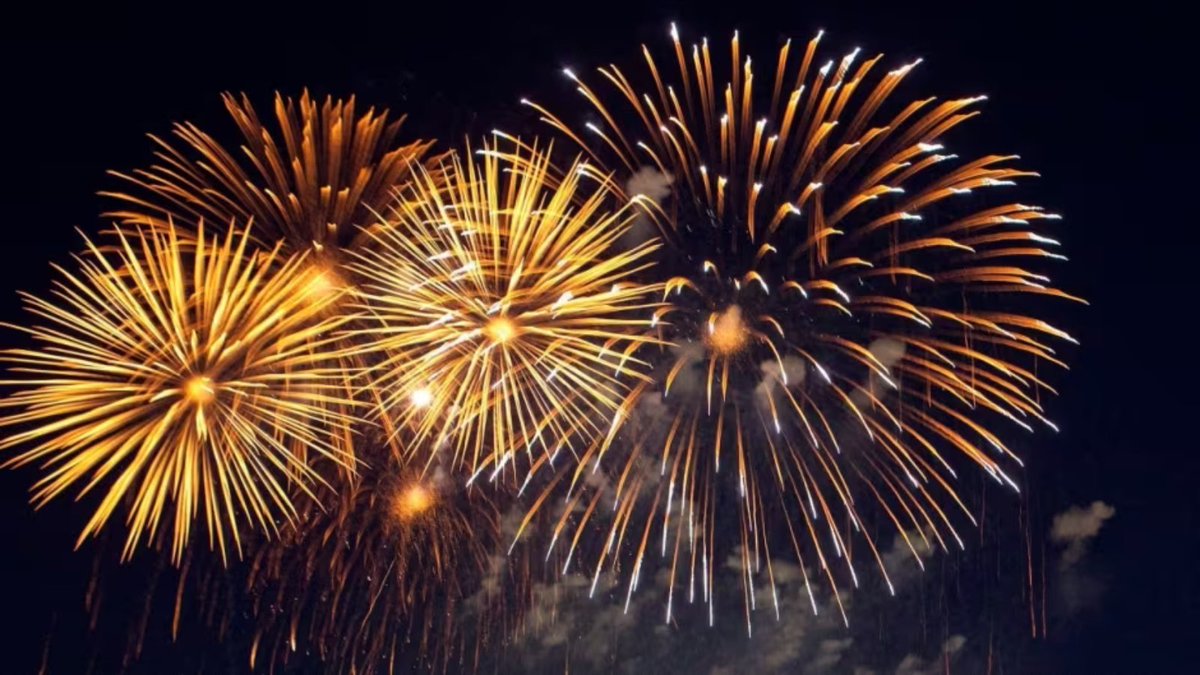 Happy 4th of July from us at the Palmetto Project! Have fun and don't forget to stay safe.