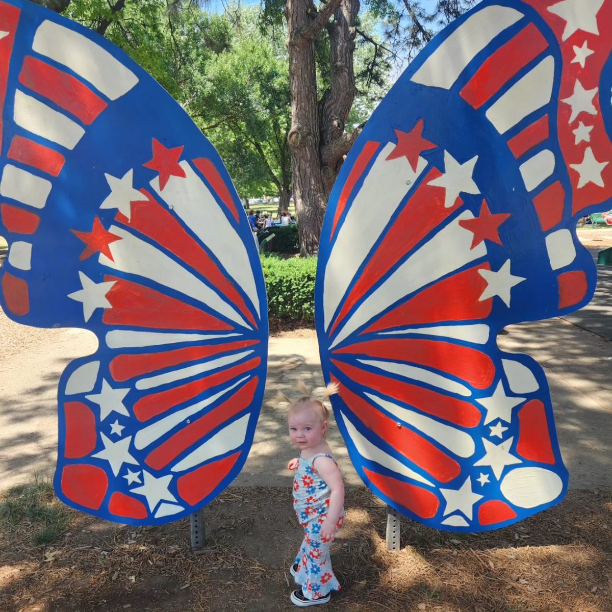 sam_bush7's tweet photo. Alexa, play All-American Girl by Carrie Underwood ❤️🤍💙 https://t.co/RFeQGstCHO