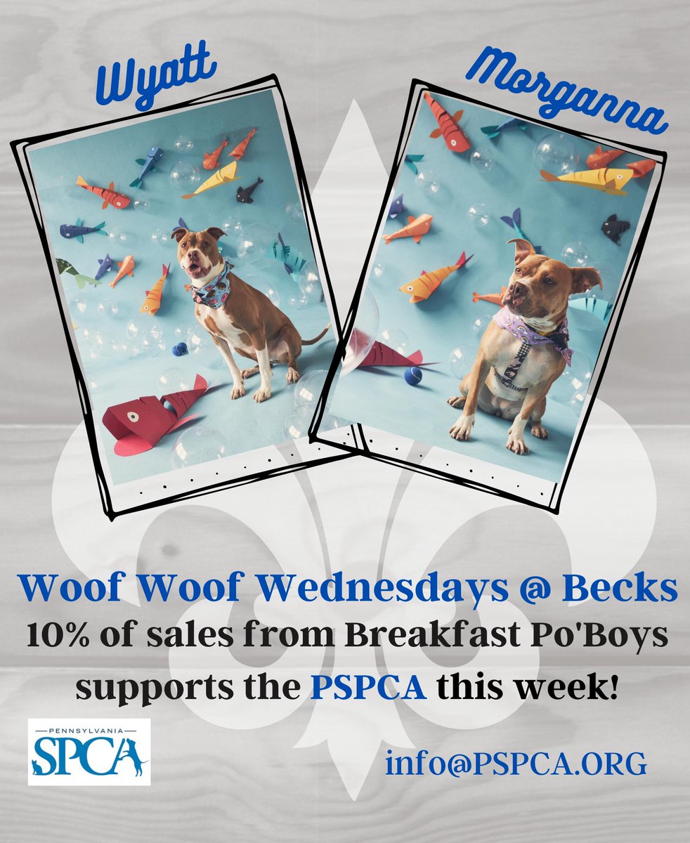 BecksCajunCafe's tweet photo. It's "Woof Woof" Wednesday time! 💜
No better way than to start your day with a #Breakfast #PoBoy in support of the @PSPCA. Goofy Wyatt &amp; Morganna are both available for adoption.
#adoptdontshop @twitterpups #doglovers #phillypups #dogsoftwitter #dogsarefamily #phillybreakfast https://t.co/1xxMTf8VY3