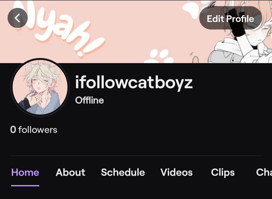 i have a twitch now :3