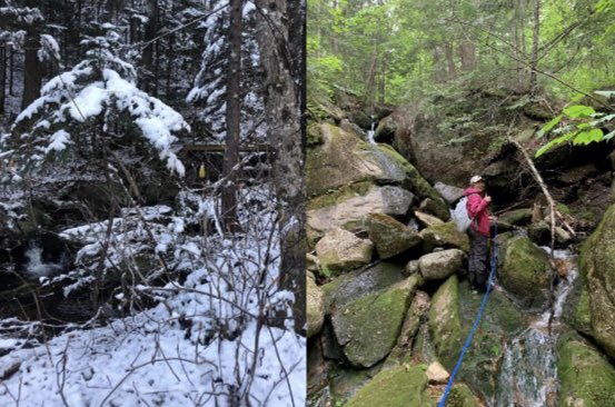 Audrey Thellman (@audreythellman) on Twitter photo I’m defending tomorrow!! If you want to hear about <a href="/HubbardBrookNH/">Hubbard Brook</a> algae + moss 🍃, how efficiently rivers use light 🌞, and river ice 🧊🛰 dm me for the zoom link!
It’s on 7/5 at 9:30 am! #DukeBGC I’m defending tomorrow!! If you want to hear about <a href="/HubbardBrookNH/">Hubbard Brook</a> algae + moss 🍃, how efficiently rivers use light 🌞, and river ice 🧊🛰 dm me for the zoom link!
It’s on 7/5 at 9:30 am! #DukeBGC