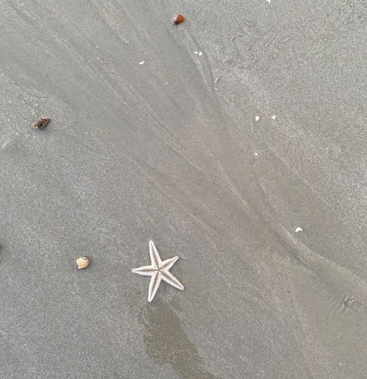 ʚ‧₊ Hola, somos zqkpoper. 
- Somos un nuevo zq, con el propósito de pasar el rato e interactuar con la comunidad kpop, pueden dejar sus confesiones relacionadas al kpop o no, incluso si solo quieren desahogarse los leeremos. 

★Link: zaqa.net/zkpoper