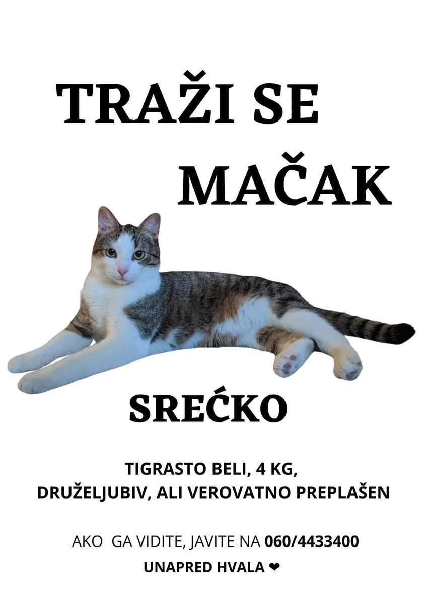 udomljavanje's tweet photo. Gradska bolnica - Cvetkova pijaca - Lion https://t.co/NDUqCC0M7W