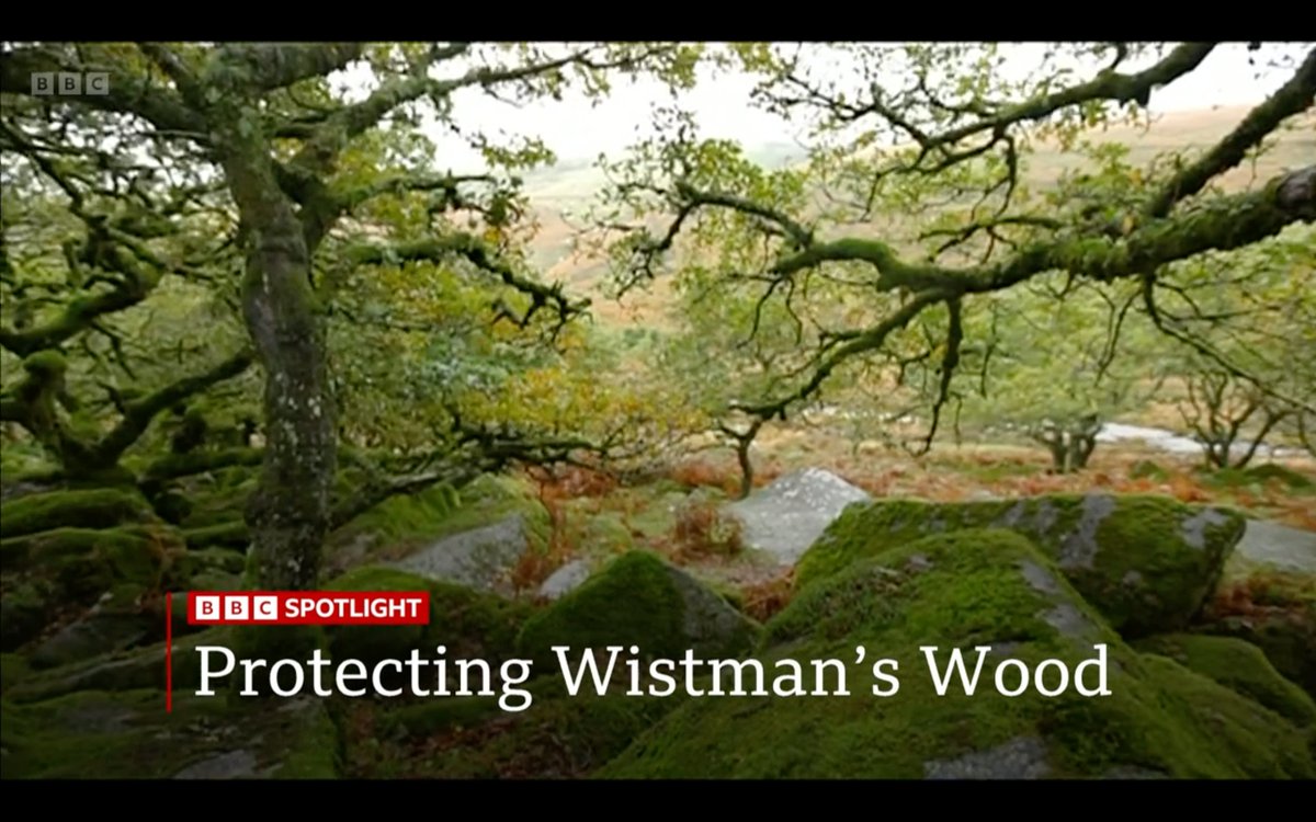 Guy Shrubsole tweet media