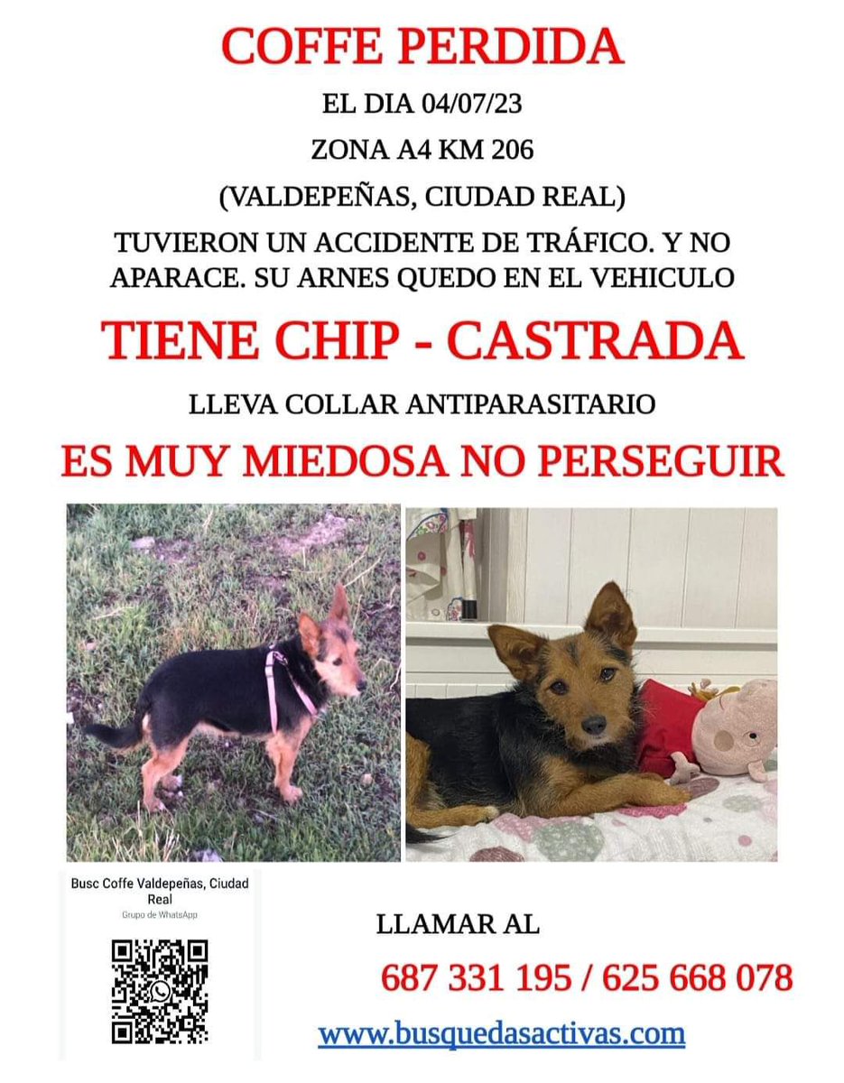 G0LDENSATELLITE's tweet photo. me ayudarais mucho si lo compartís por favor, cualquier cosa que sepais no dudeis en contactar!!! https://t.co/G9Ppg8BeN4