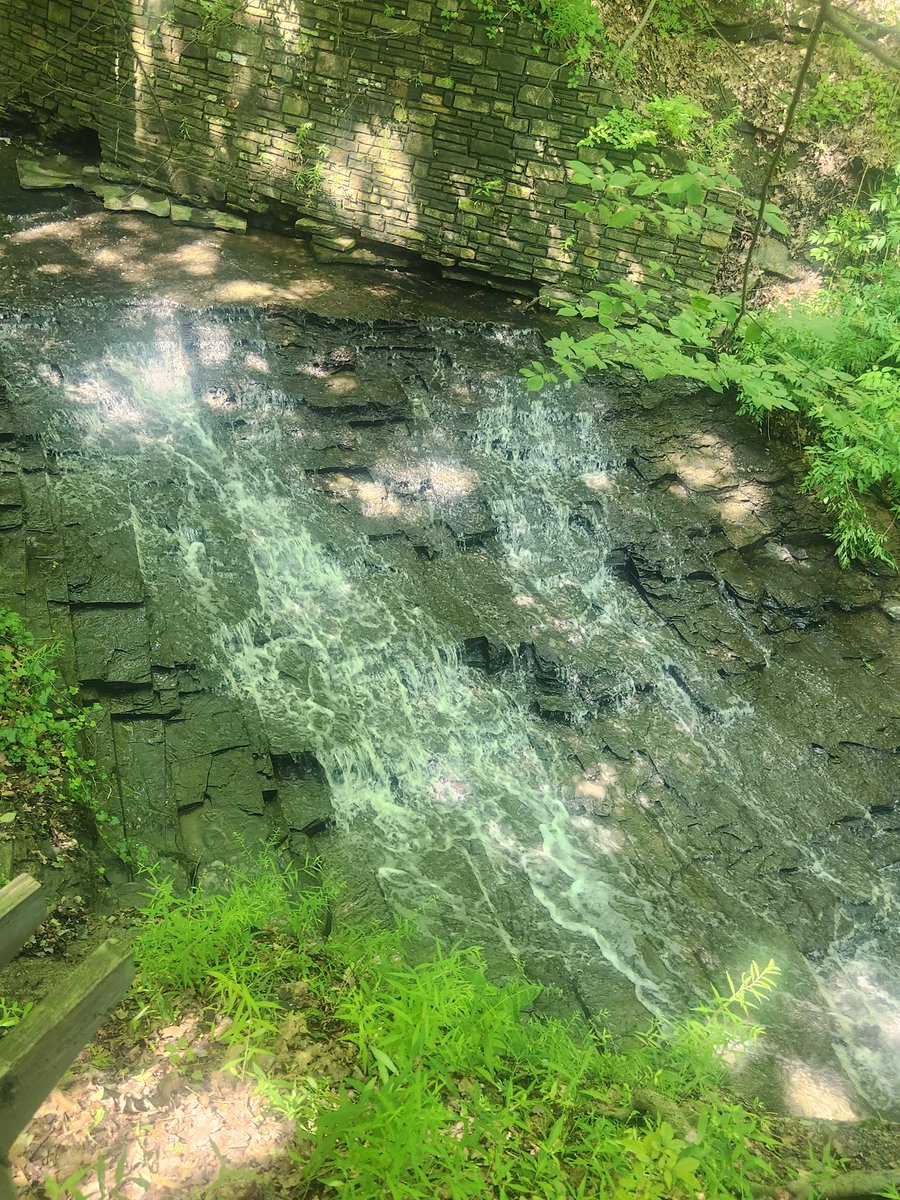 TribSportsLady's tweet photo. Cleveland Metroparks. Wow. Best parks in the nation. #Cleveland #clevelandrocks #clevelandmetroparks #hiking #travel #traveling #healthcoachlife https://t.co/Ln8dLQG25M