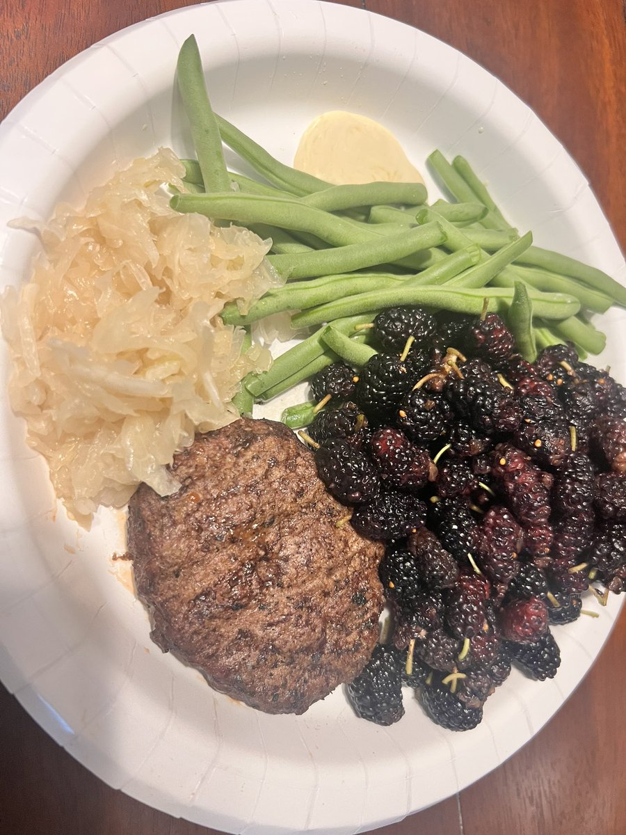 IsabelRamirezRD's tweet photo. #notglamorous how my body prefers to eat. I double down when my energy is lower than baseline (as it’s on menses time). Grass fed burger, homemade sourkraut, homegrown green beans with homegrown garlic sauce, #foragedmulberries https://t.co/Embhvoz20s