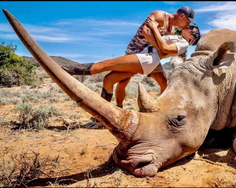Aint love grand, at the cost of a beautiful and increasing rare Rhino

This is Willaim Spann owner of Spook National Fitness celebrating with his wife on the Rhino he has just killed