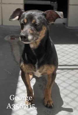 RoCo🇬🇧God Save The King🇬🇧 tweet media