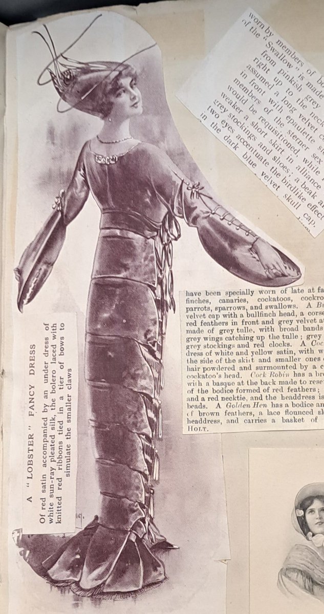 Shelley Tobin tweet media