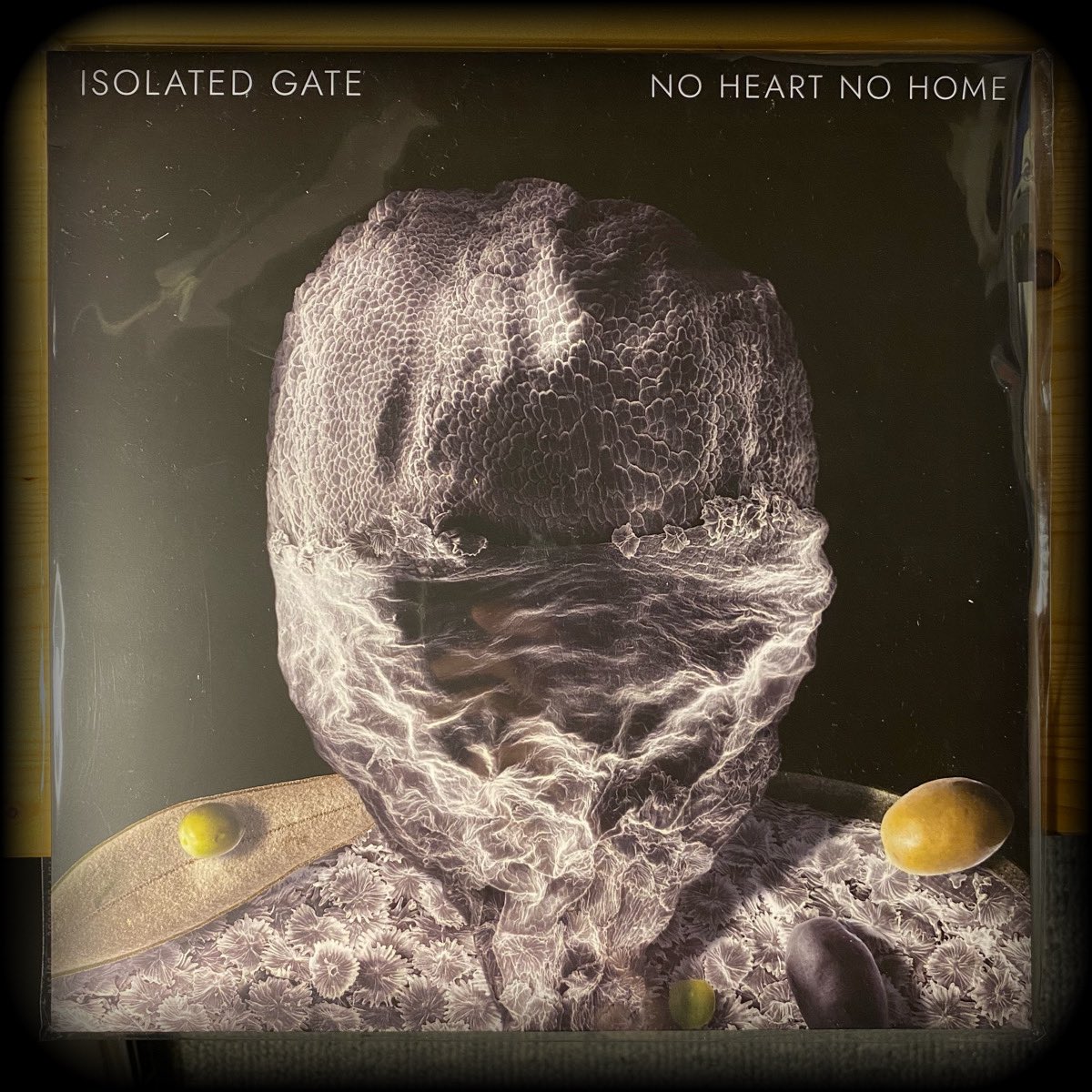 ʞɔılɐǝlɟ tweet media