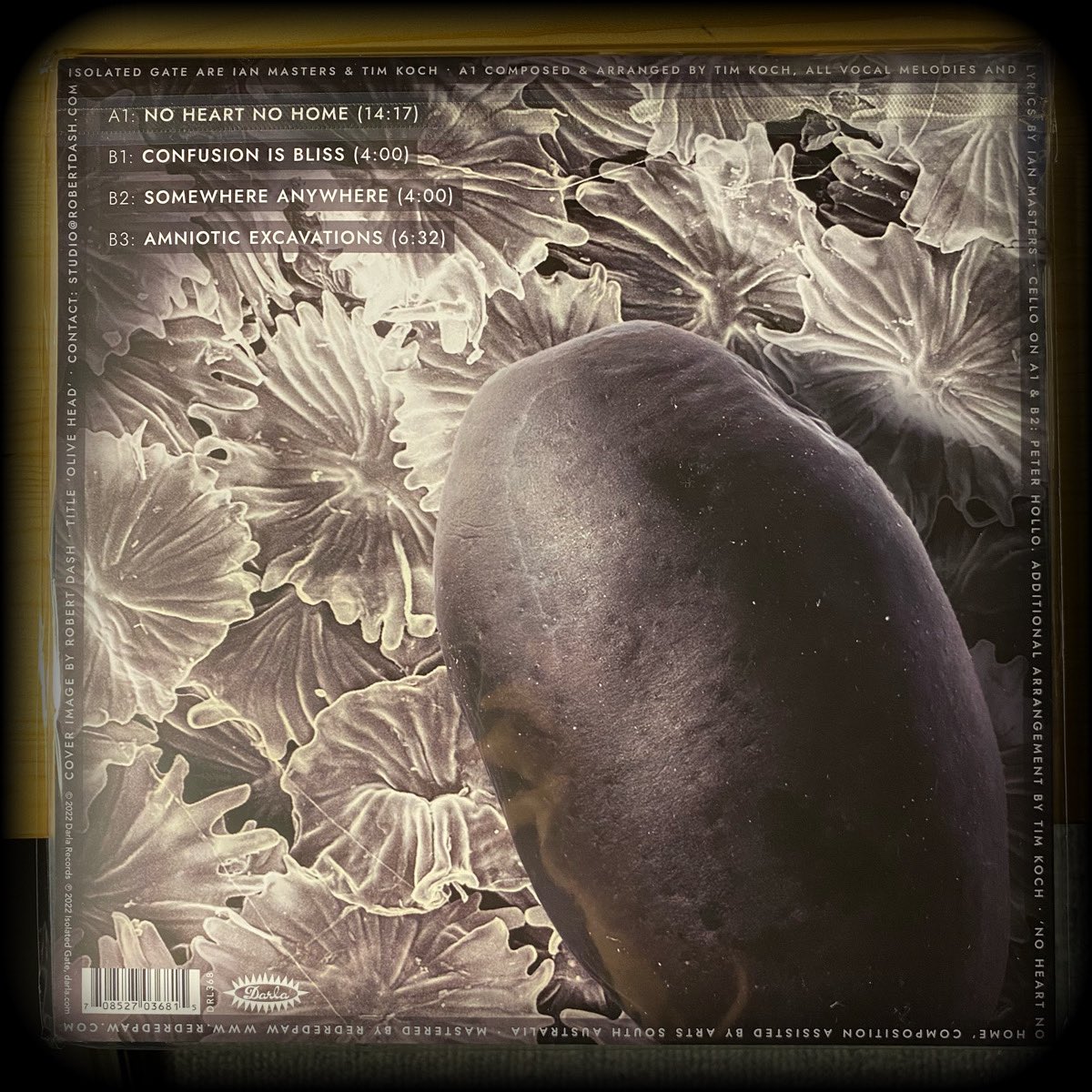 ʞɔılɐǝlɟ tweet media