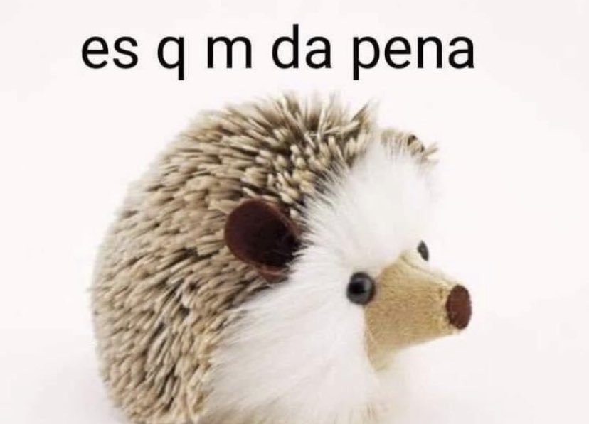 mariagpts's tweet photo. Literalmente yo por todo https://t.co/3mVjn6J3Al