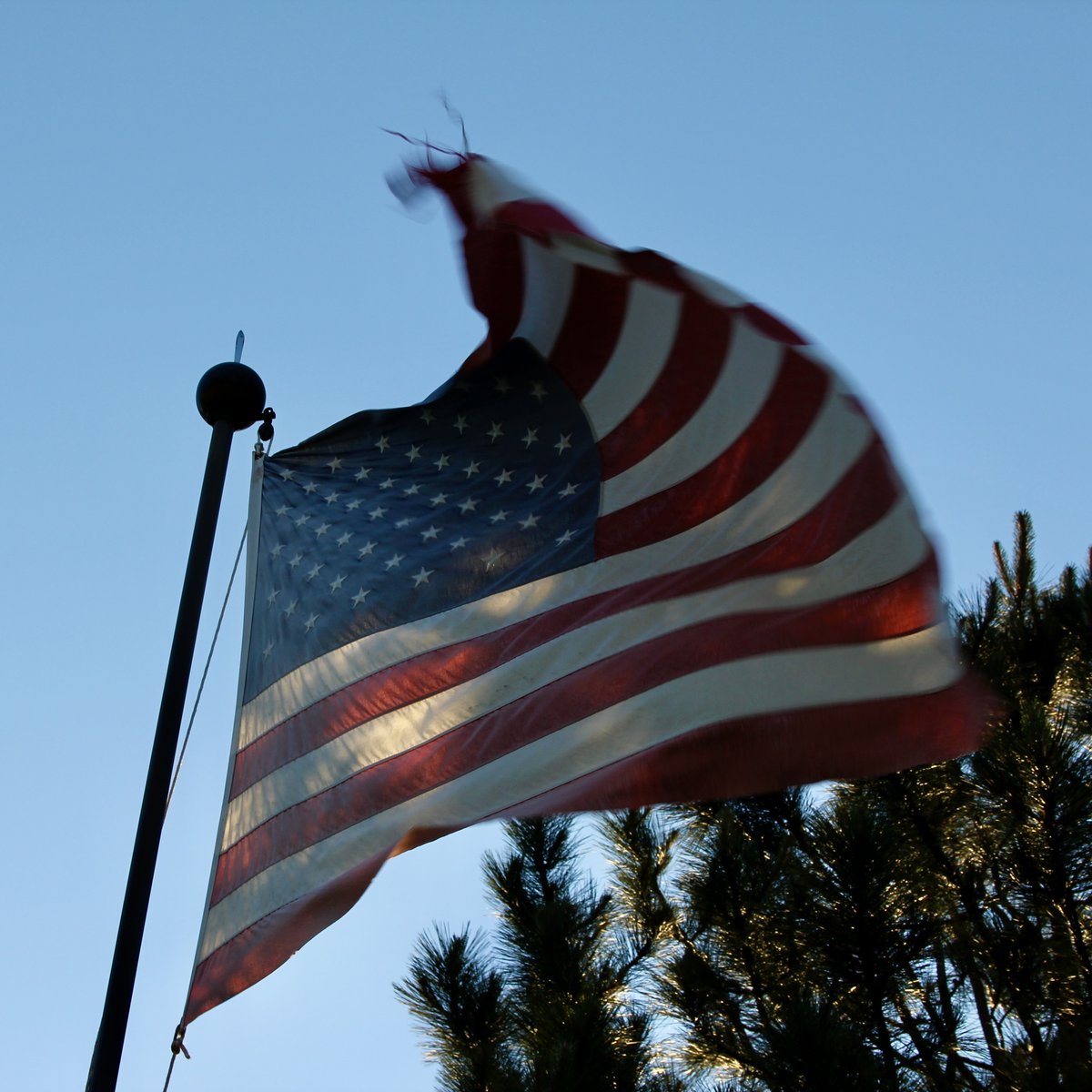 Happy 4th of July! 🇺🇸 Cherish nature and good company today, and bask in freedom under open skies. 🌲💙❤️ #IndependenceDay #StarsAndStripes #StarSpangledBanner #FourthOfJuly