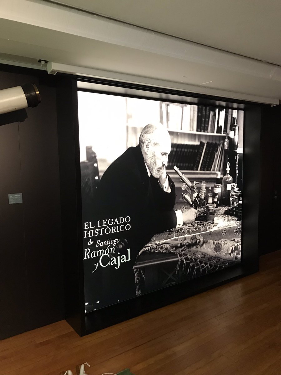 Ademas de piezas fantásticas del legado, @IRALTAVR ofrece realidad aumentada sobre #Cajal,su obra y el #cerebro que nos descubrió,en trabajo realizado con @juan_c_moreno (@InstitutoCajal) que fascinará a todos... Porque 'su' #Neurociencia cambió desde la #Neurología hasta la #IA.