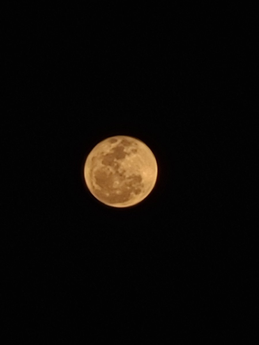 schultz_geovane's tweet photo. @estheticlunar https://t.co/kfHve26Iyz