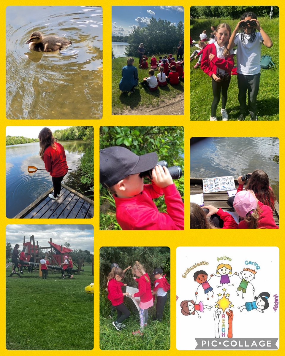 A visit to Holmebrook Valley Country Park really brought Science learning to life for the children last week.